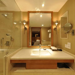 高档酒店 浴室
